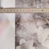 Viskosejersey Stoff Panel "Blumenwiese" rosa, orange, graustufen ca. 75cm lang